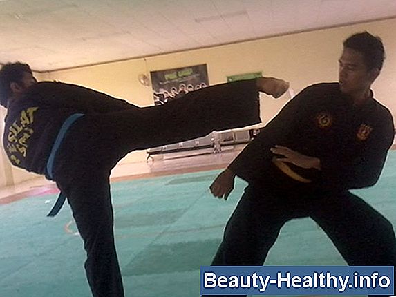 Pencak Silat Teknikker