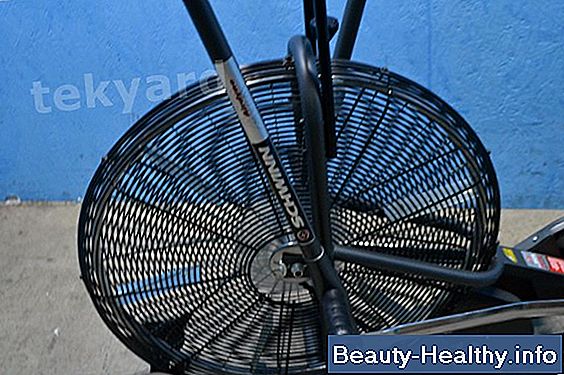 Schwinn Airdyne History