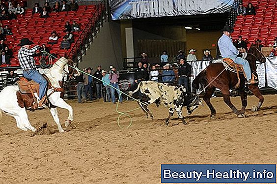 Team Roping Tips til begyndere
