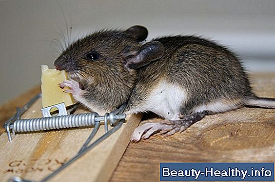 Hvad skal en diabetisk & diverticulitispatient spise?
