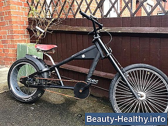 Schwinn Sting Ray Chopper Specifikationer