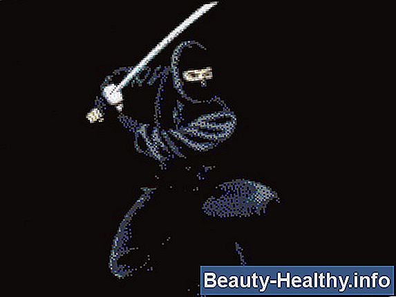 Ninjutsu Lammelsesteknikker