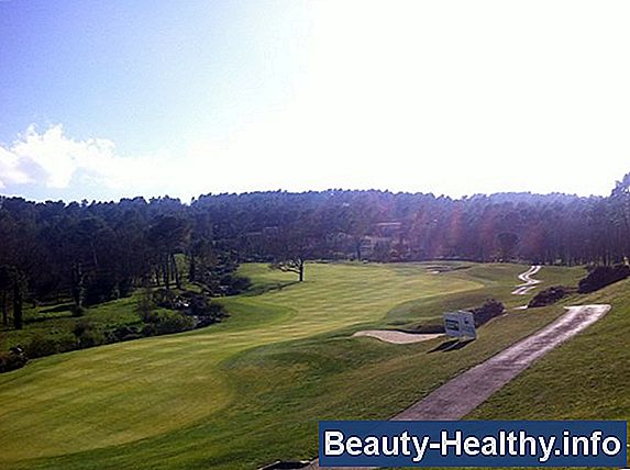 Regler for en Pro-Am Golf Turnering