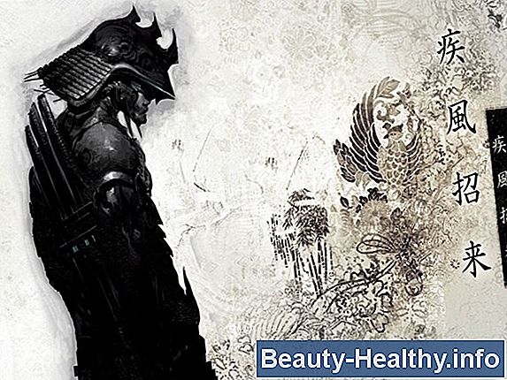 Samurai Mentaltræning