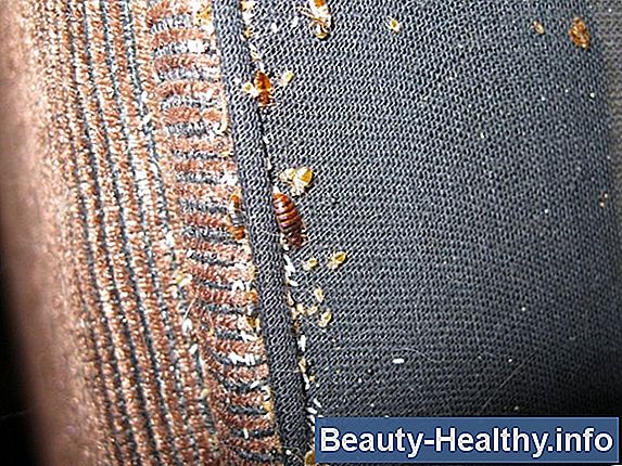 Har Bug Spray Kill Lice?