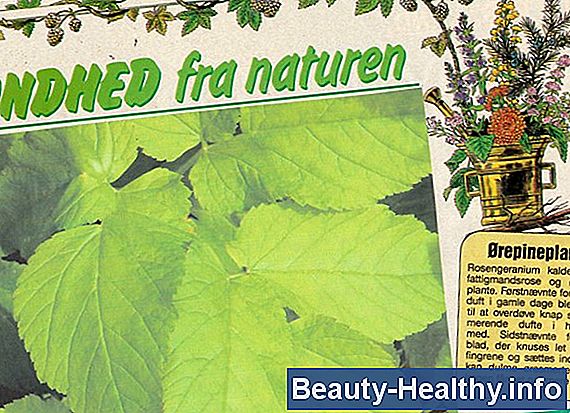 Mad, der dræber H. Pylori Bakterier