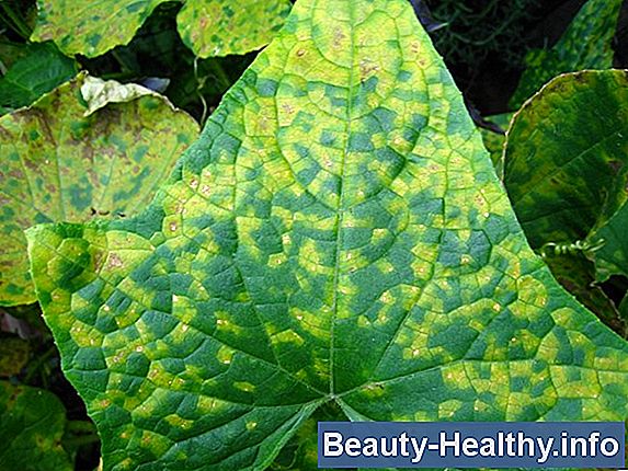 Mold & Viral Lunginfektioner