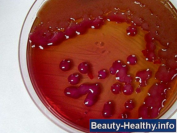Klebsiella Oxytoca hoito