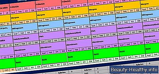 Endomorph Vekttap Program
