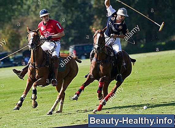 Polo Match etiketti