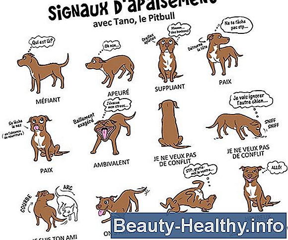 Arrêter d'autres dommages causés par l'arthrite dans les doigts