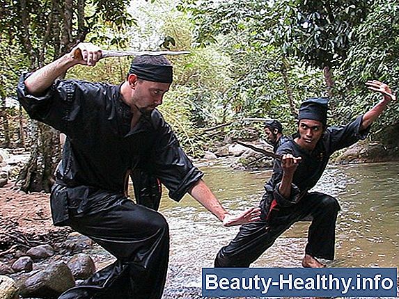 Pencak Silat Techniques