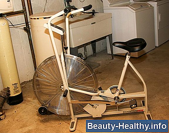 Schwinn Airdyne History