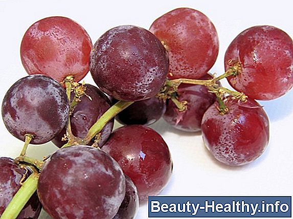 aliments abaissant le cholestérol