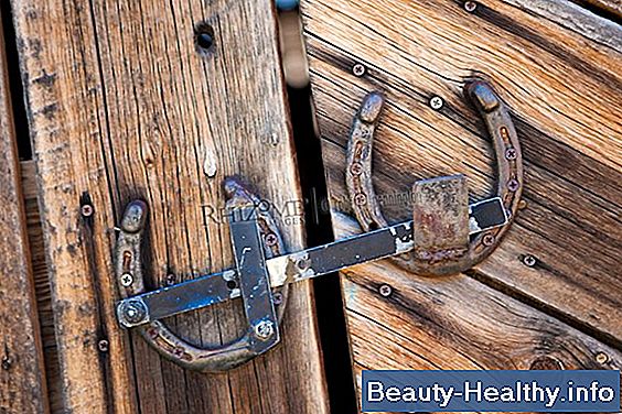 Horseshoes reeglid ja määrused