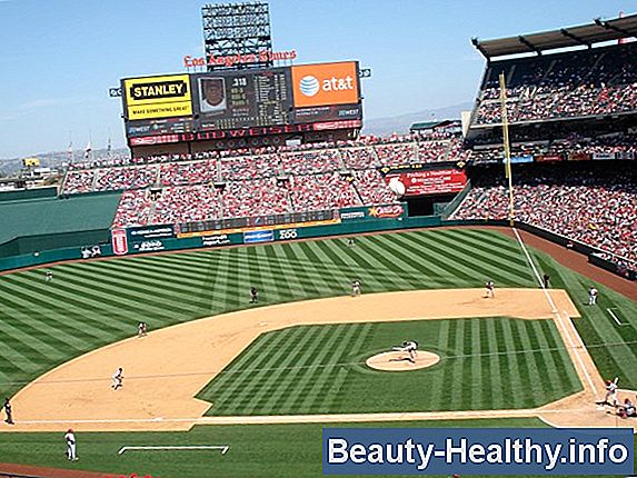 Angel Stadium Rules