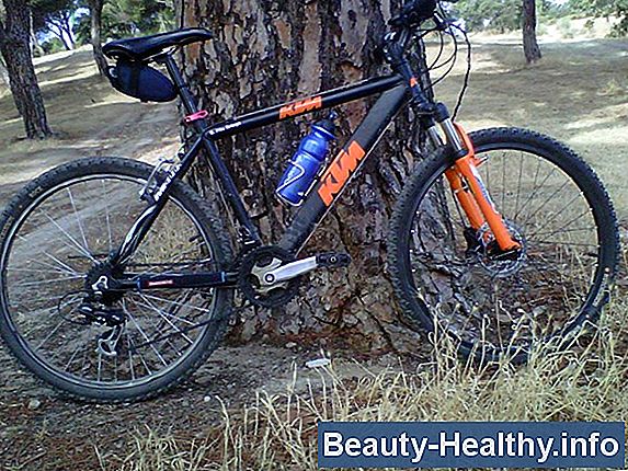 Diferencias entre una bicicleta de montaña y un crucero de playa