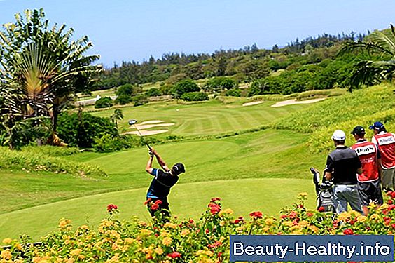 Cómo Caddie