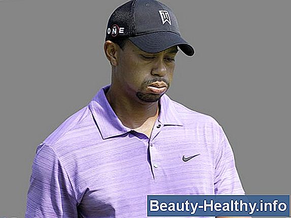 C贸mo conocer a Tiger Woods