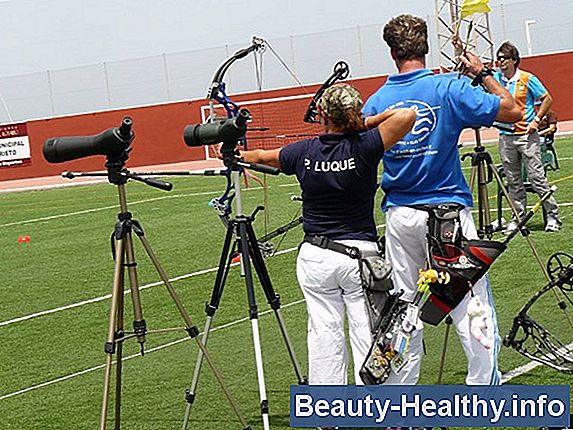 C贸mo contar la edad de un arco compuesto de Mathews