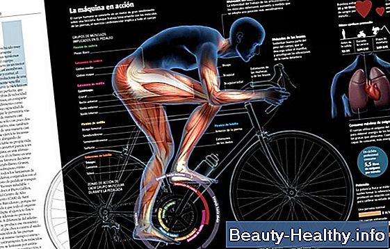 ¿Cuál es el deporte de invierno del esqueleto y qué tan rápido van?