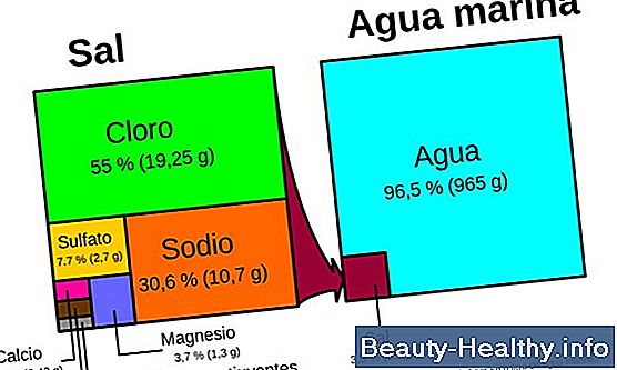 ¿Cuál es la diferencia entre 200G Thinsulate y 1000G?