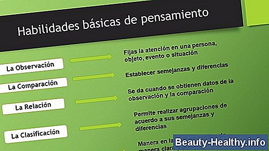 Habilidades y Técnicas Básicas para Cricket