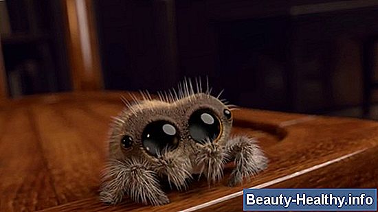 Ideas de prueba de mascota
