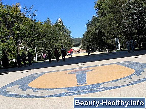 Las mejores universidades de fútbol en América