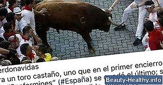 ¿Qué hace un toro de rodeo?