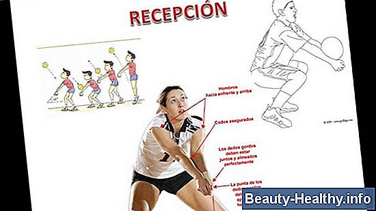 Reglas básicas de Lacrosse