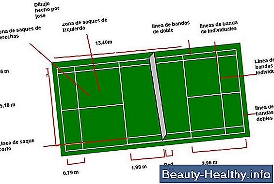 Reglas de bádminton en líneas