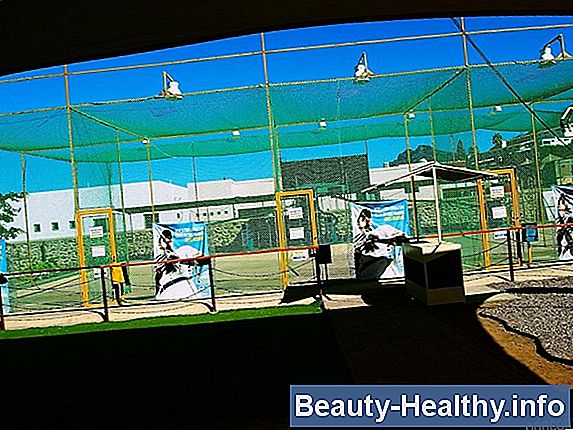 Reglas de la caja de bateo de softball de ASA
