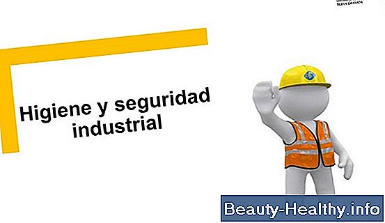 Reglas de seguridad para Netball