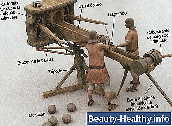 Tipos de Jabalinas