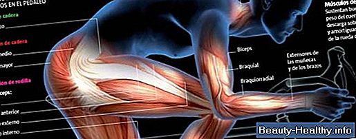 11 componentes de resistencia cardiovascular y estado f铆sico