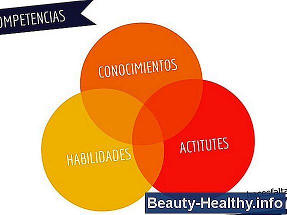 Cómo encontrar el mejor estimulador muscular electrónico