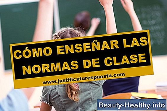 Cómo enseñar una clase de boot camp