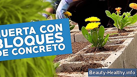 C贸mo hacer un banco plano inclinado