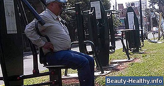 Haz que tu perro sea tu nuevo compañero de entrenamiento