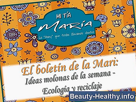 Ideas del boletín de aptitud