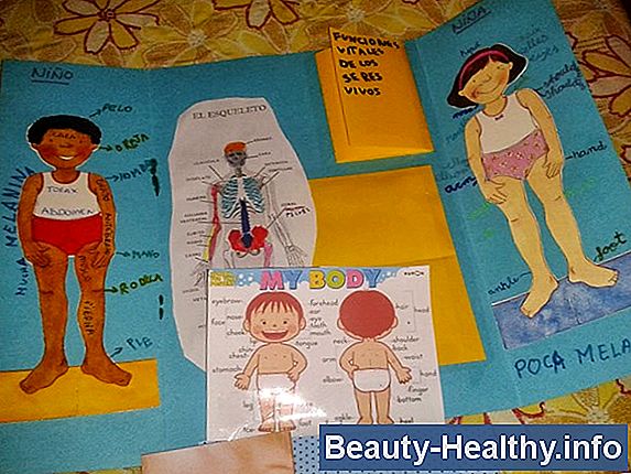 ¿Qué partes del cuerpo deben resolverse juntas?