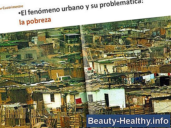 Evaluación de la función de la mano después de una lesión nerviosa periférica
