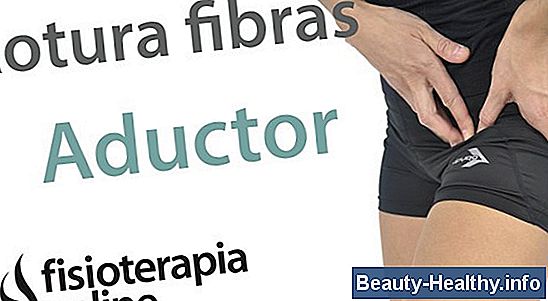 驴Puedes estirar los ligamentos?