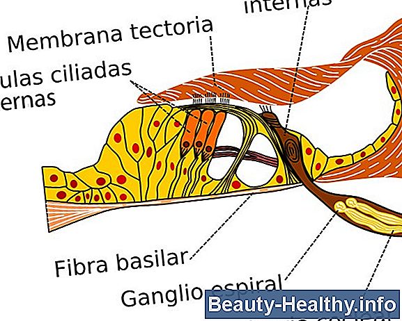 ¿Qué es el daño del nervio C5 / C6?