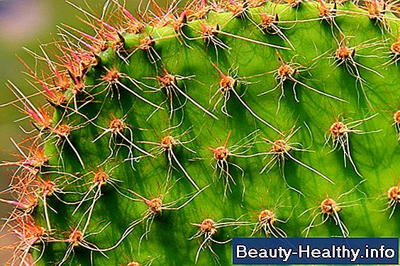 Beneficios de salud de Nopal Cactus