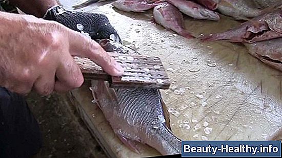 Características de un pescado fresco