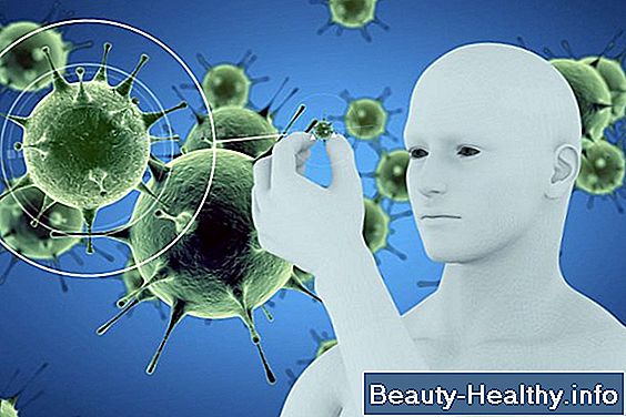 ¿Cómo funciona la homeostasis?