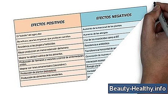 Aspectos positivos y negativos de Kickboxing