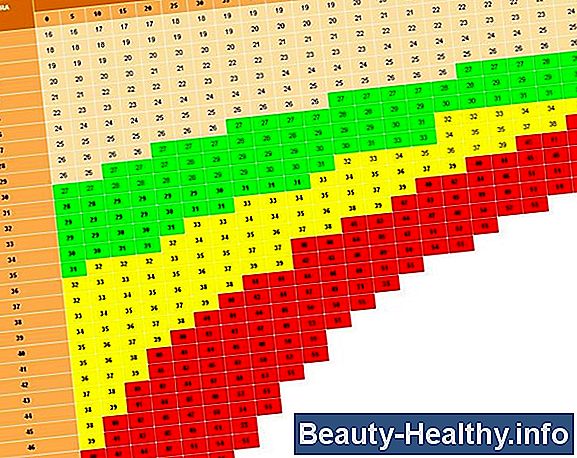 C贸mo calcular los puntos de Weight Watchers en una receta